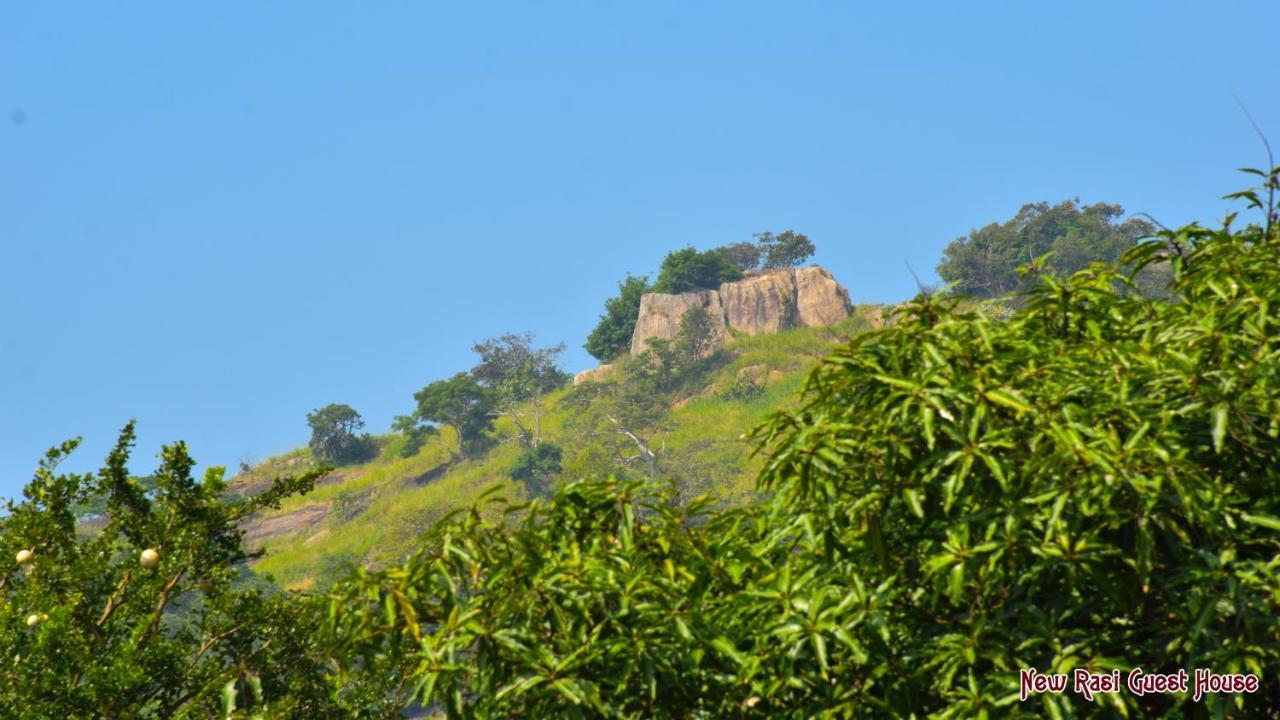 New Rasi Guest House Dambulla Εξωτερικό φωτογραφία